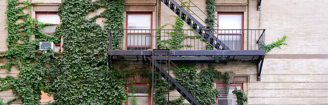 Closeup of a fire escape on a building with green ivy plants surrounding it
